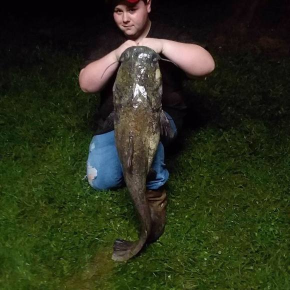 Meet your Posher, Danny - Picture 1 of 1